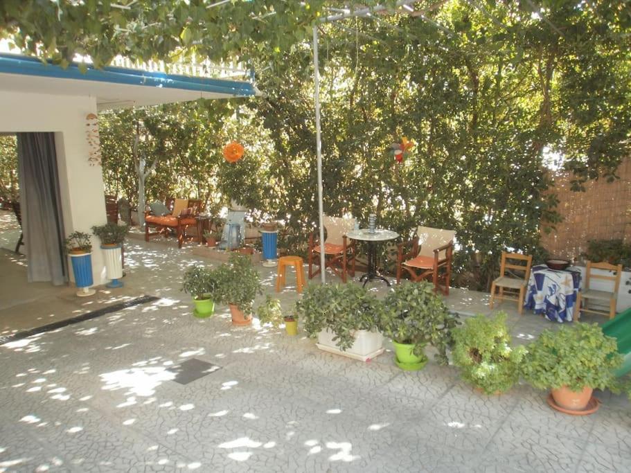 Selfcatering -Studio Helen No 7 Xiropígado Kültér fotó
