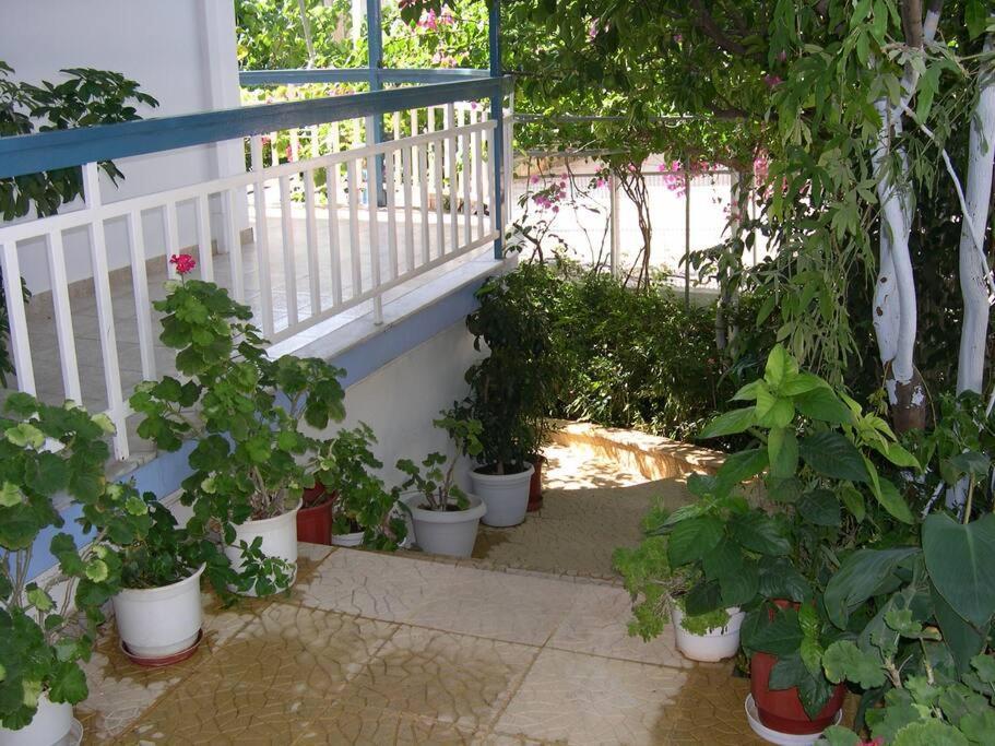 Selfcatering -Studio Helen No 7 Xiropígado Kültér fotó